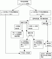 唐氏综合征(DS)和神经管缺陷(NTD)产前筛查方法